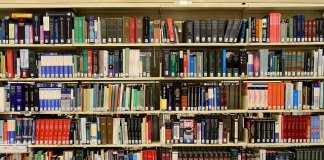 sopocka - biegły do spraw zapobiegania i wykrywania przestępstw gospodarczych i korupcji (2) - Werka.jpg