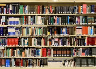 sopocka - biegły do spraw zapobiegania i wykrywania przestępstw gospodarczych i korupcji (2) - Werka.jpg