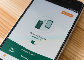 Werka - Comarch DMS (3).jpg